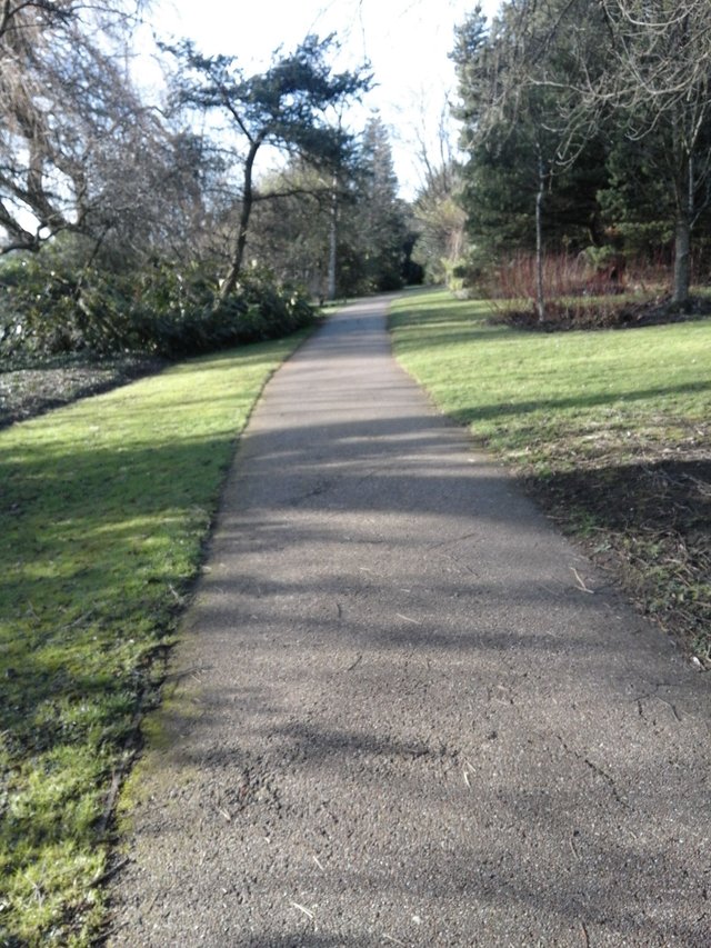 Leicester-botanic-garden