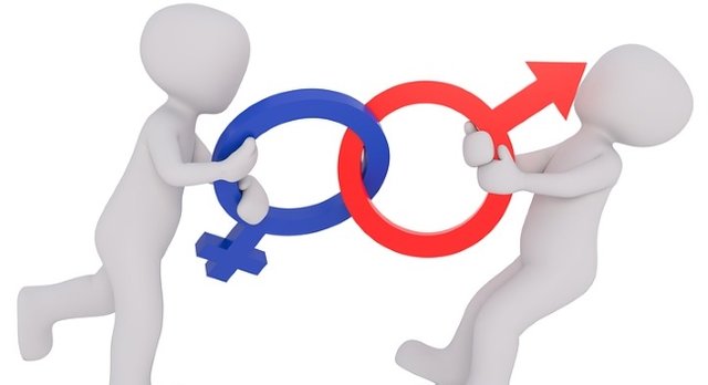 equality-2110561_960_720.jpg