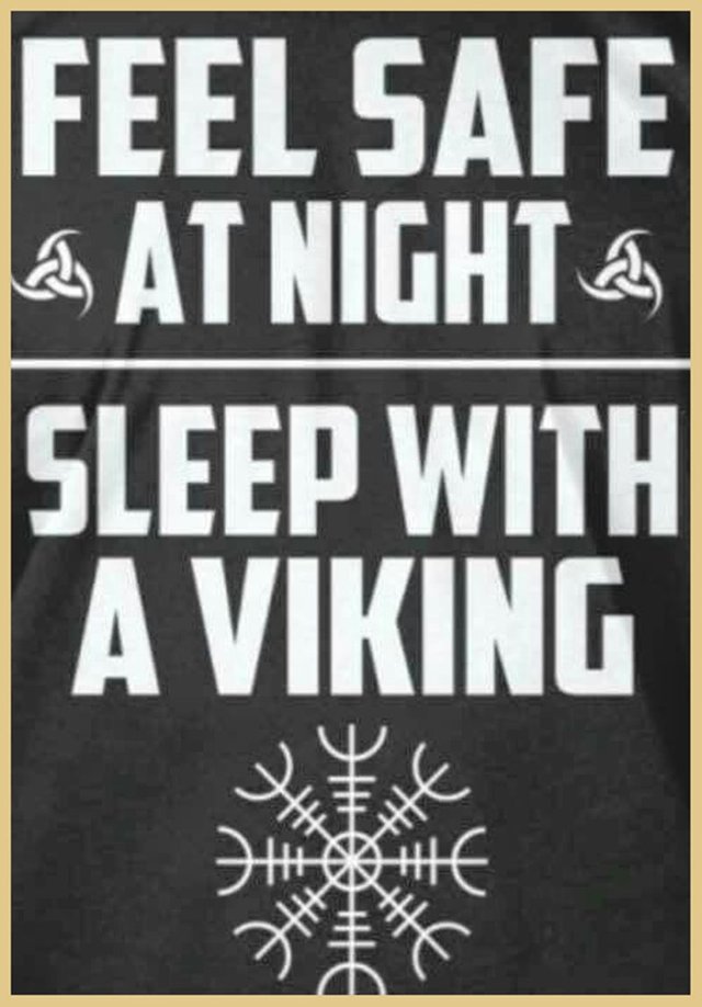 Sleep with a viking.jpg