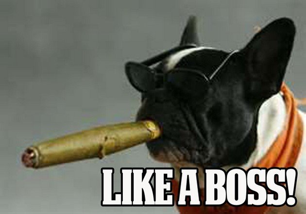 Like-a-Boss-funny-meme-11.jpg