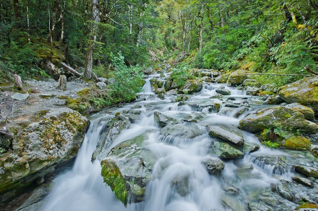 Routeburn-Rivers-Workshop.jpg