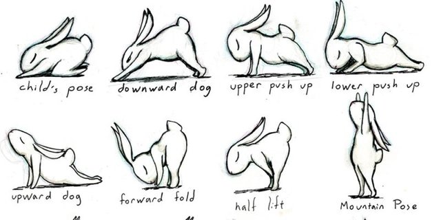 easter-bunny-yoga.jpg