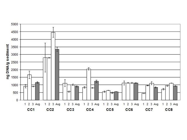 CC1-8 qRT-PCR Linear graph.jpg