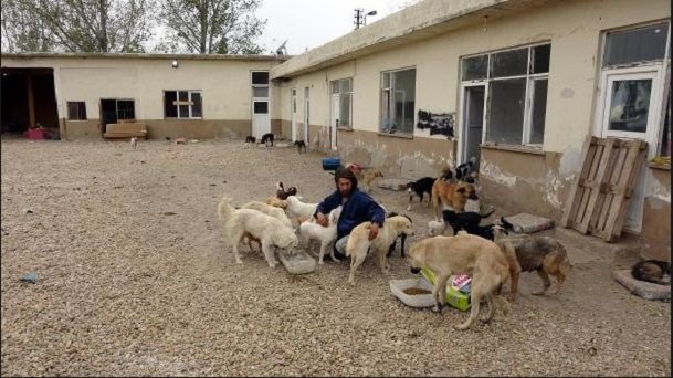 1487392737_316_Renunció-a-ser-modelo-y-se-fue-a-vivir-con-500-animales-abandonados.jpg