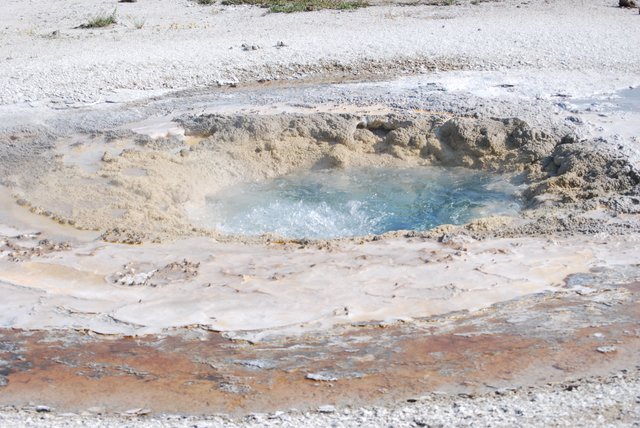 2008_Yellowstone_229.jpg