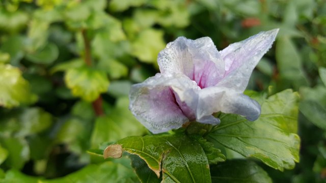 20171007_105134.jpg