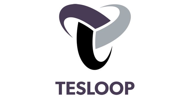 tesloop-share-logo.jpg