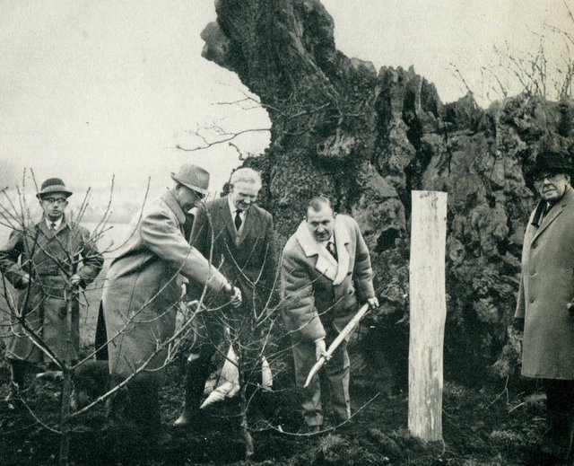 Cyril planting at Newland.jpg