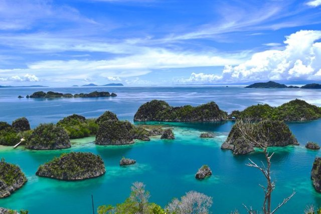 Raja-Ampat-29-768x512.jpg