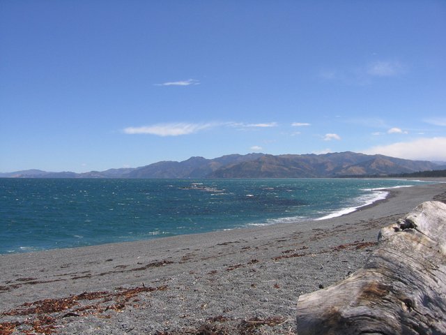 8 kaikora south beach (1).JPG