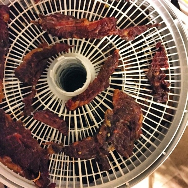 jerky3dehydrator.jpg