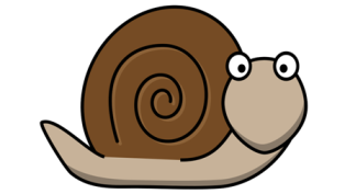 Snail