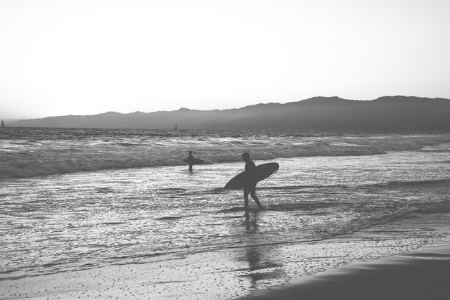 surfing-498312_1280.jpg