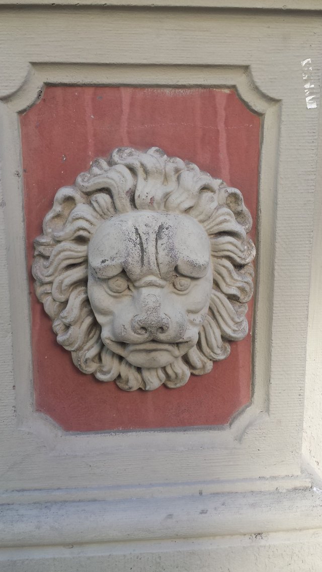 sad lion.jpg