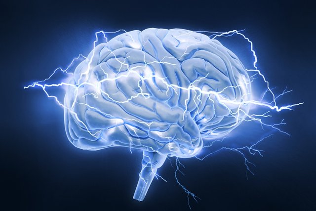Anticonvulsivos-cerebro.jpg
