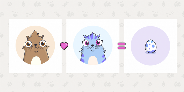 cryptokitties-hed-796x398.png