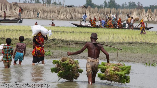 Flooding-Fulchori-Upazila-Gaibandha-Bangladesh.jpg