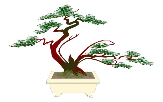bonsai-2543668_1280.png