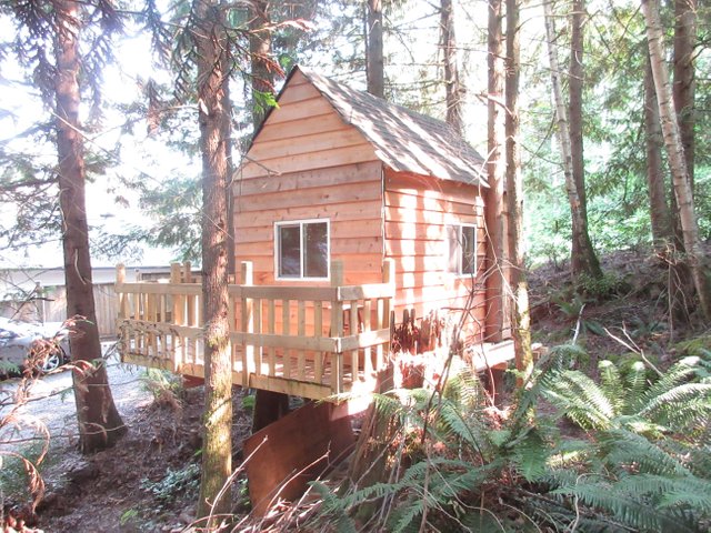 treehouse_02.jpg