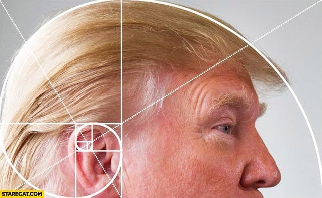 Trumps hair golden ration.jpg