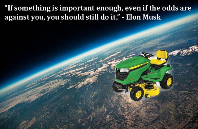 Thank you Elon 2.jpg