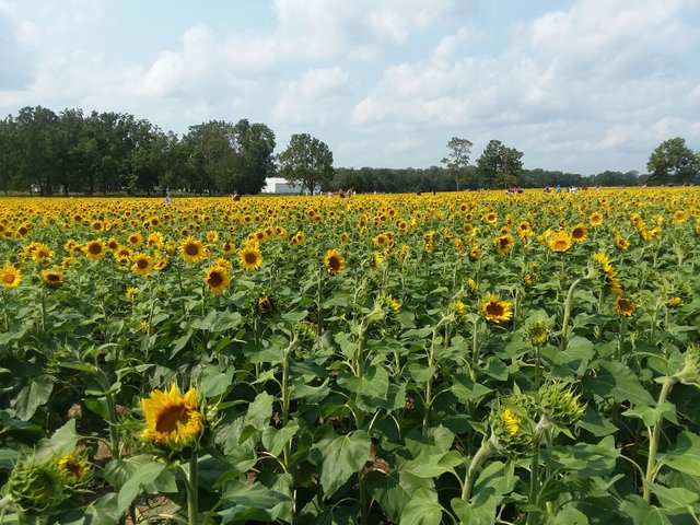 20170904_144343.jpg