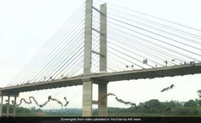 brazil-bridge-jump-650-ani_650x400_61508764159.jpg