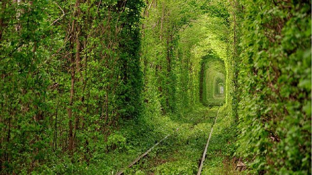 winter-tunnel-love-ukraine.jpg