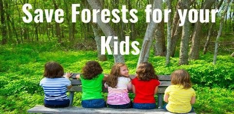 save-forest-slogans-save-forest-slogans.jpg