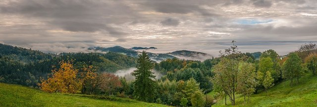 Schwarzwald_Panorama15 Kopie.jpg