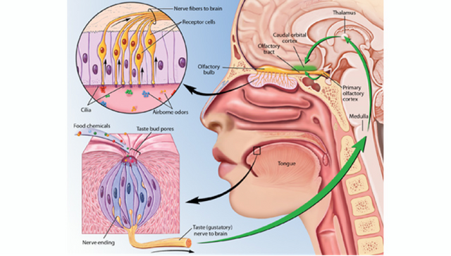 figure3.png