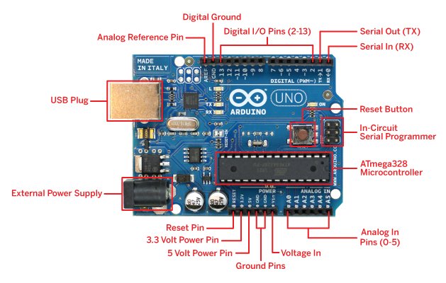 Arduino.jpg