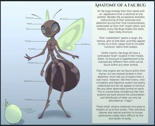 anatomy_of_a_fae_bug_by_painted_bees-db3hl70.jpg