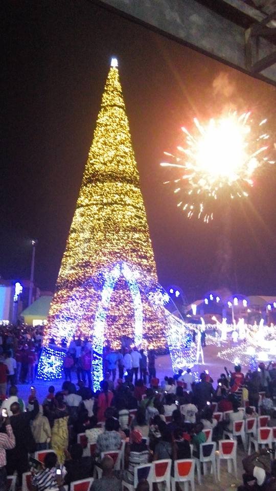 imo-state-christmas-tree1.jpg