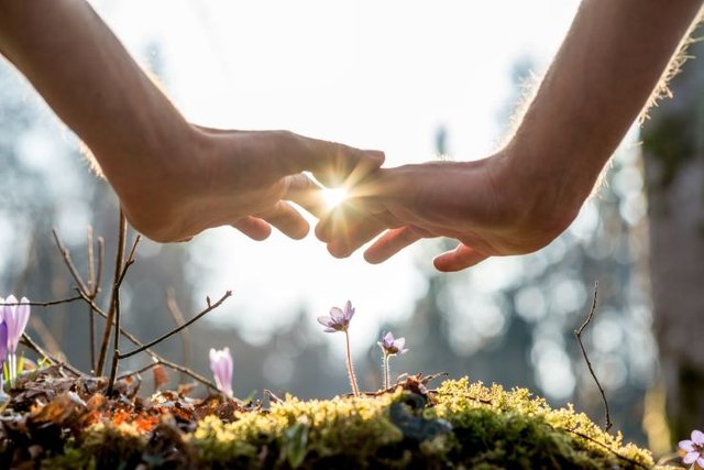 healing hands flower.jpg