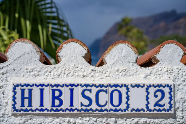 Hibisco ceramic tiles.jpg