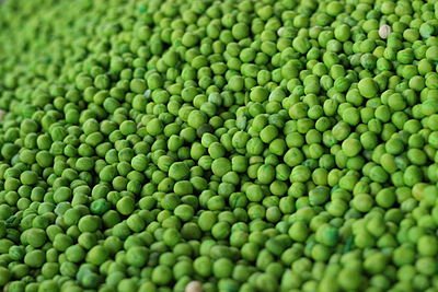 Peas01.JPG