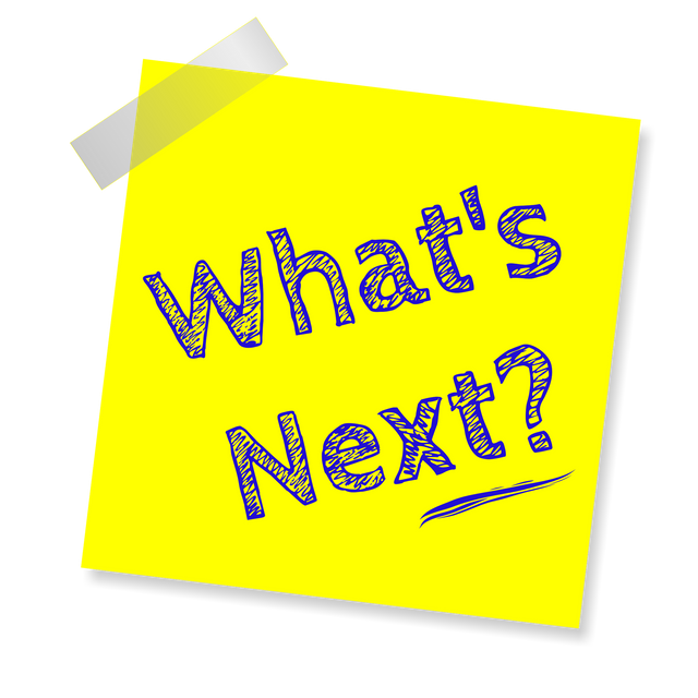 whats-next-1462747_1920 (1).png