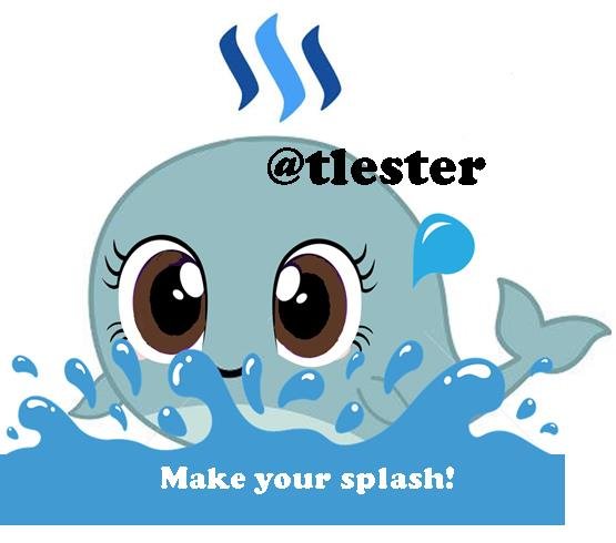 steemit make your splash 2.jpg