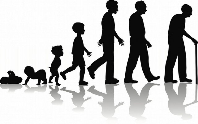 life-cycle-1024x644.jpeg