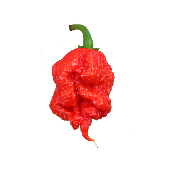 Carolina-Reaper.png