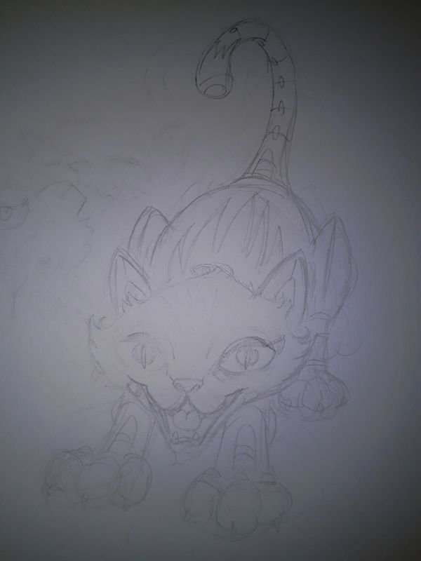 Kitten sketch small.jpg