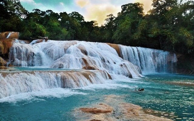 cascadas-de-agua-azul-misol-ha-palenque-cascadas.jpg