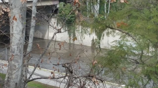 River after rain.jpg