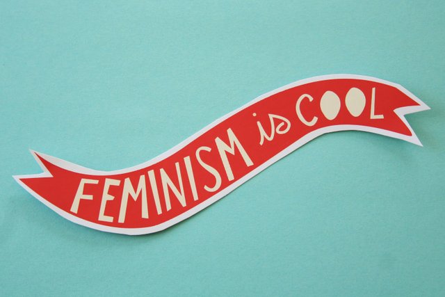 635952465306055621226344043_Feminismiscool.jpg