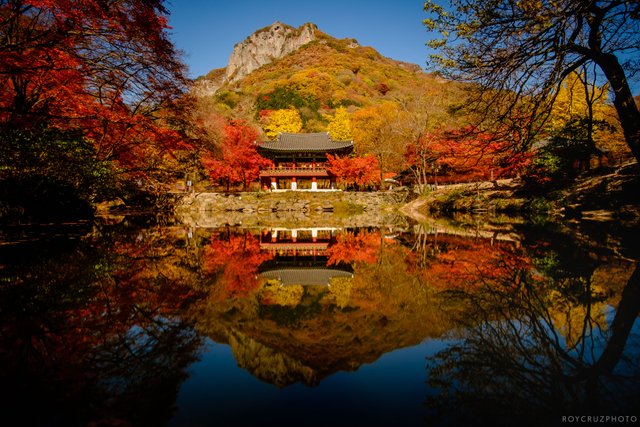 Naejangsan Autumn-2.jpg