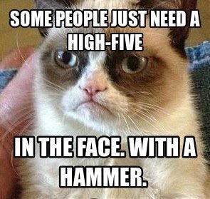 c56db84eda6474d9839797cd19a5be14--grump-cat-memes-hilarious-grumpy-cat-memes.jpg