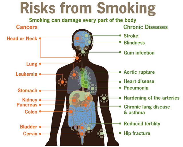 745px-Risks_form_smoking-smoking_can_damage_every_part_of_the_body.png