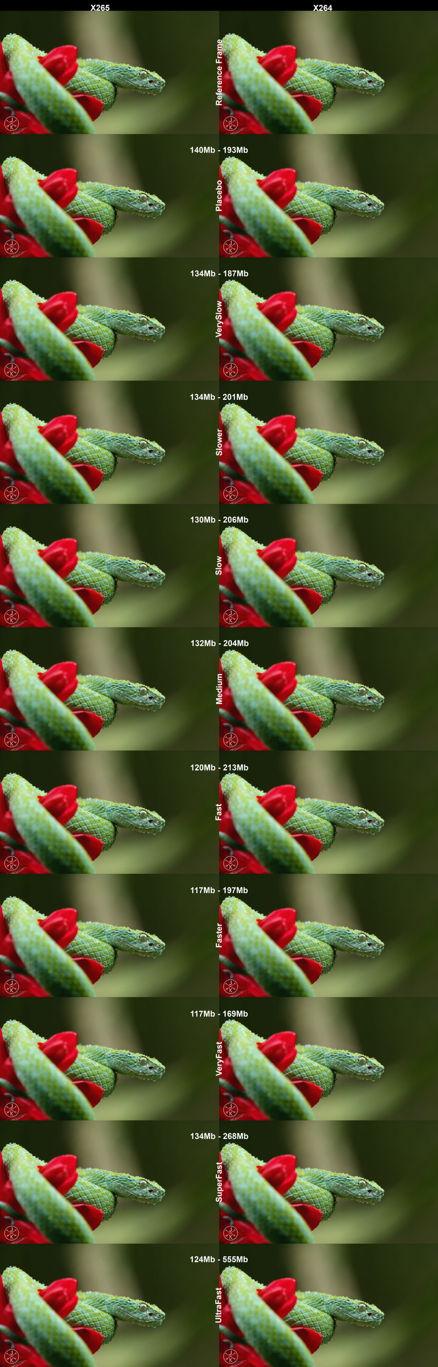 Pic1-Half.png