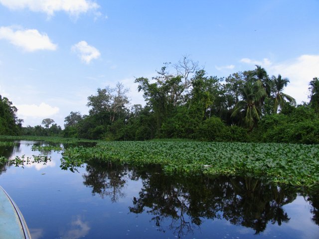 rumbo-al-relampago-del-catatumbo-800x600.jpg